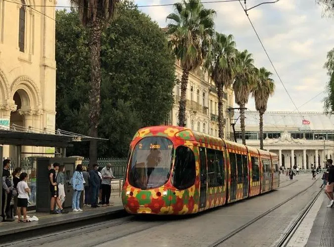 Beautiful In The Middle Of Town Montpellier