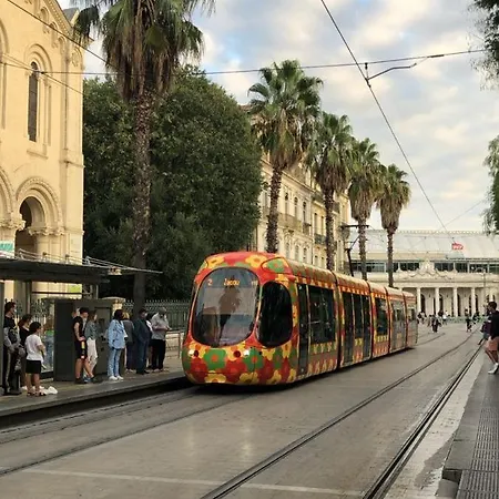Beautiful In The Middle Of Town Montpellier
